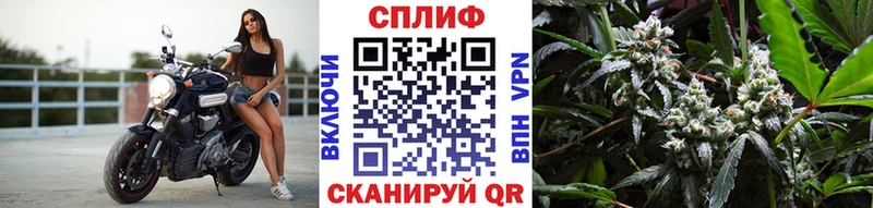 Бошки Шишки марихуана  наркота  ссылка на мегу маркетплейс  Нижнекамск 